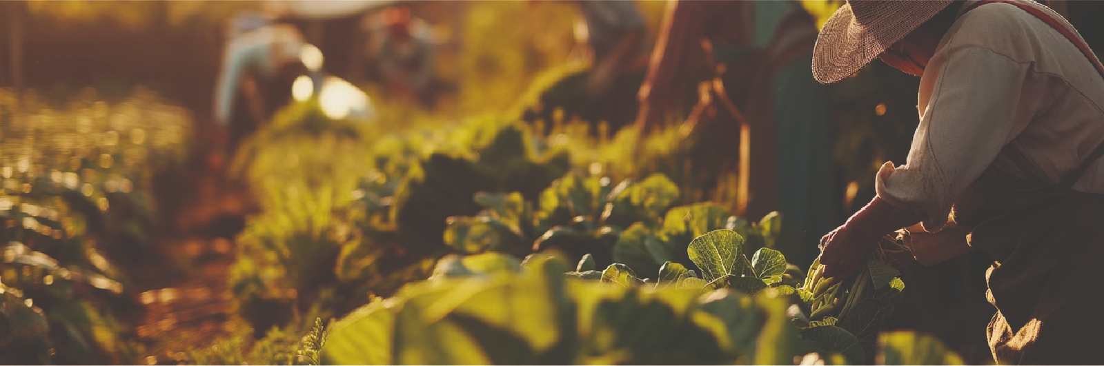 Recurso 3-80_11zon (1)